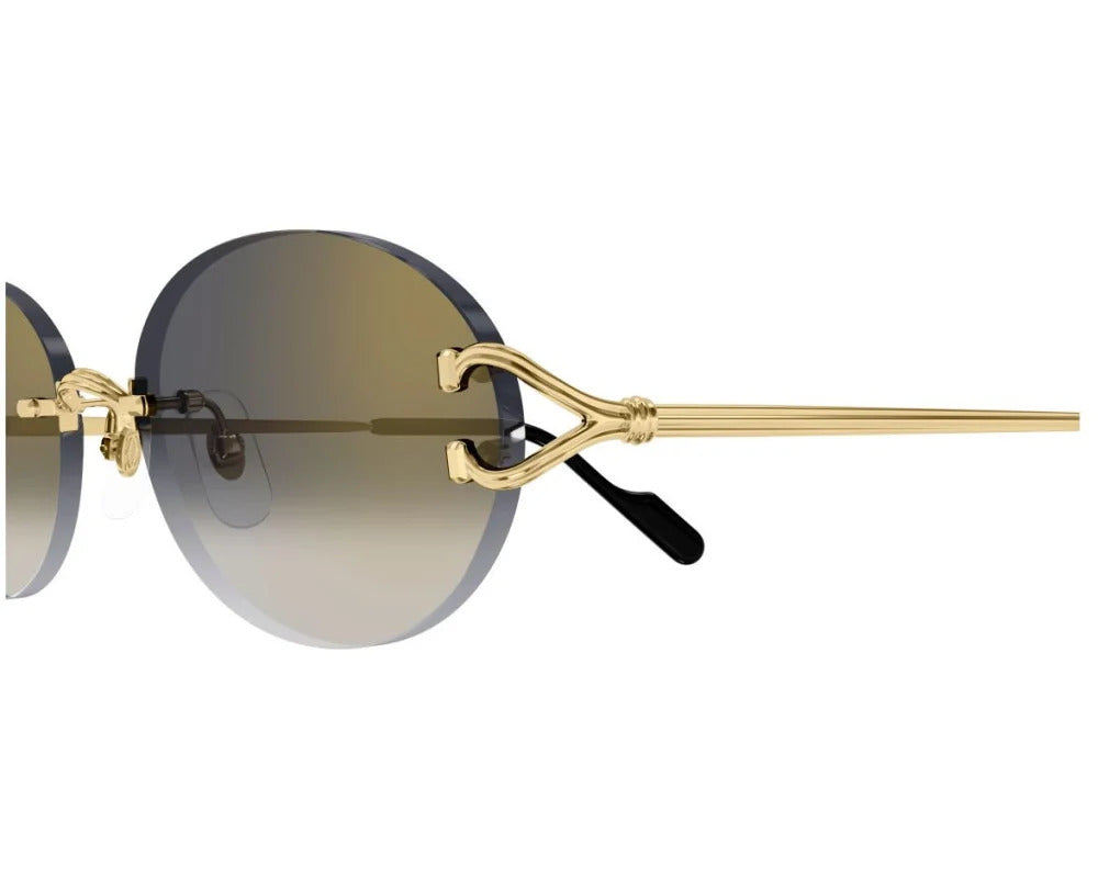 Lunettes de Soleil Cartier Core Range CT0551S 3