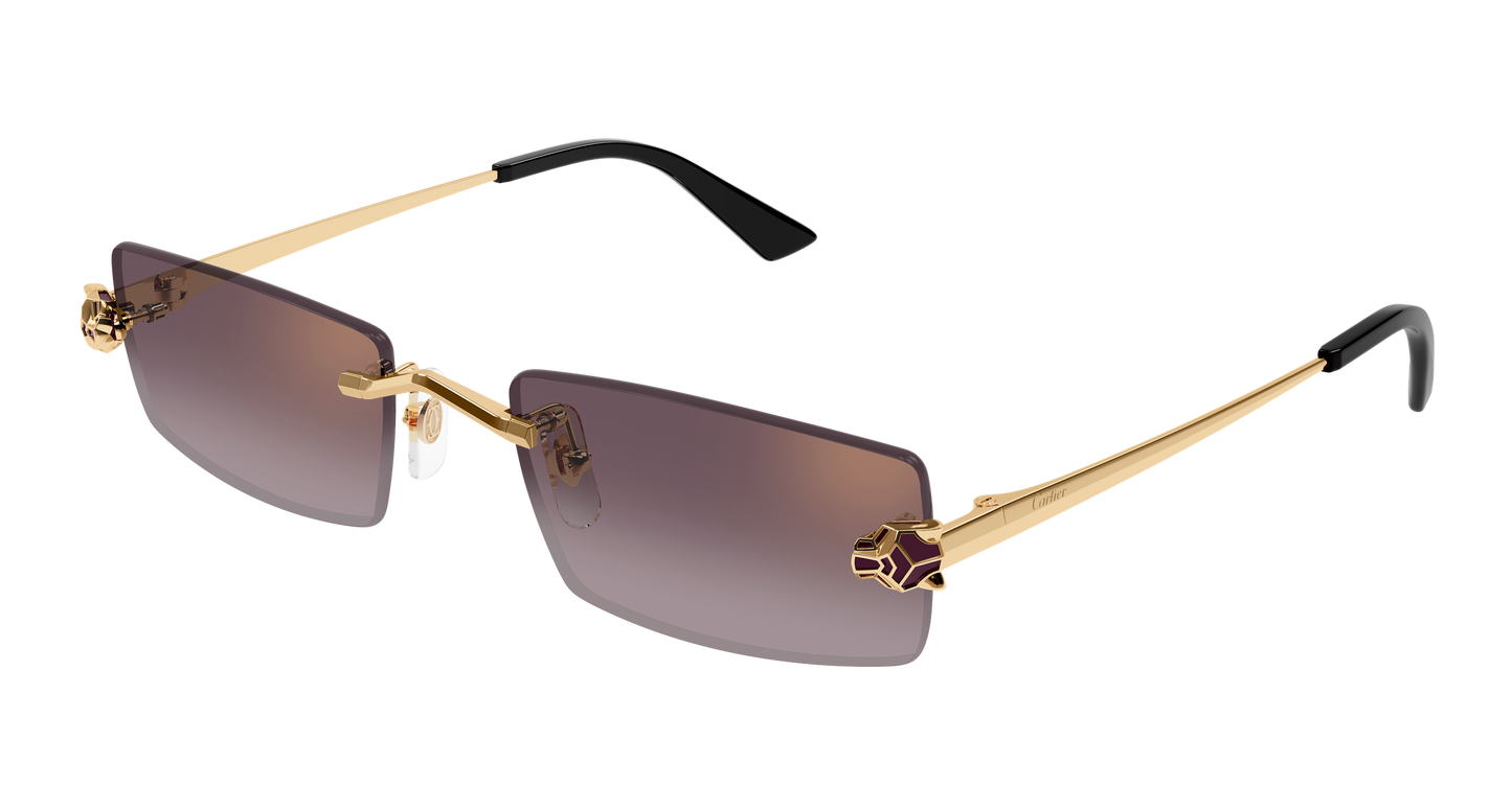 Lunettes de Soleil Cartier - CT0598S