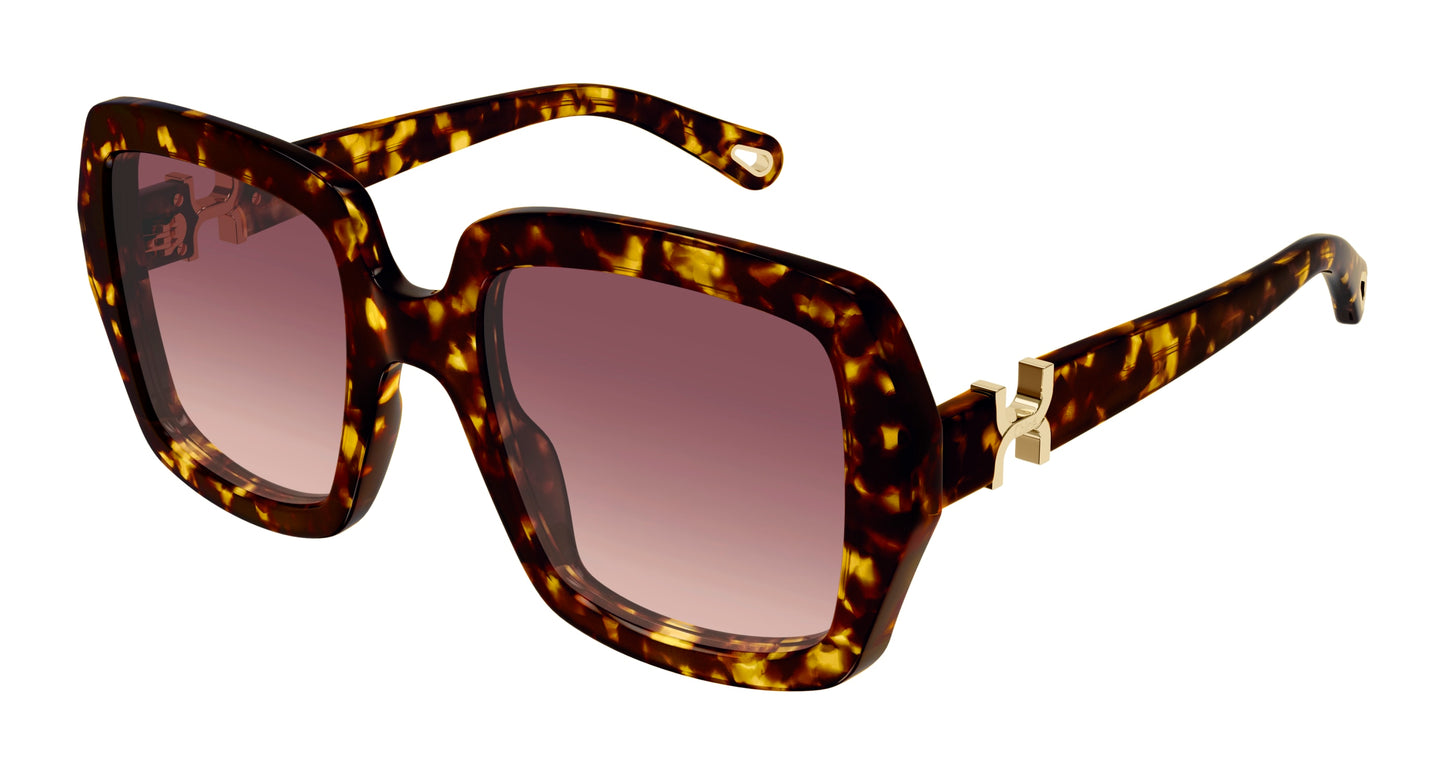 Lunettes de Soleil Chloé - CH0301S