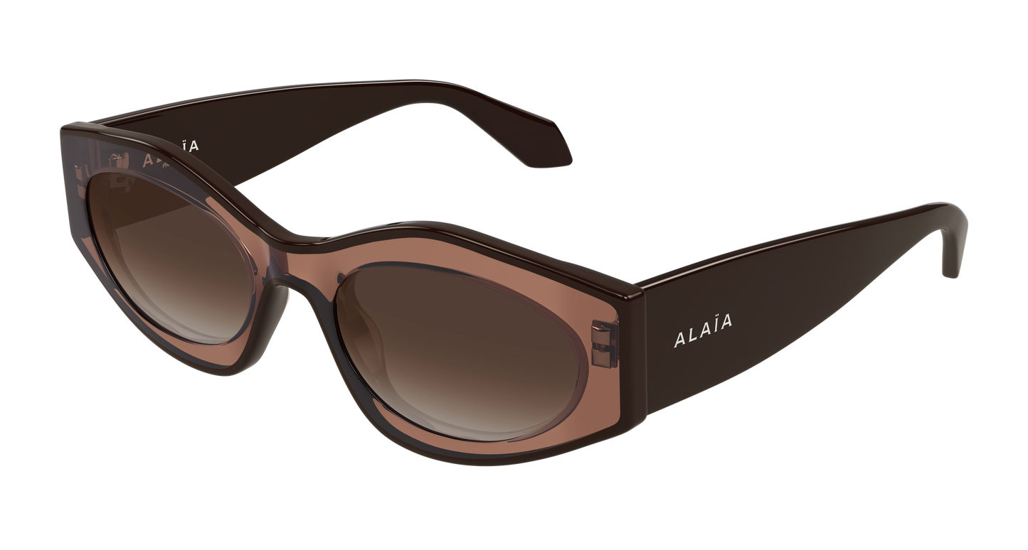 Lunettes de Soleil Alaia - AA0093S