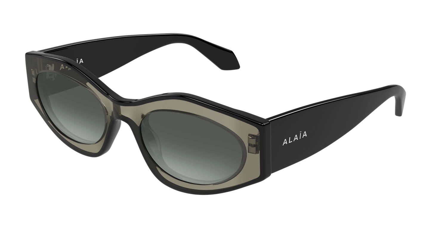 Lunettes de Soleil Alaia - AA0093S