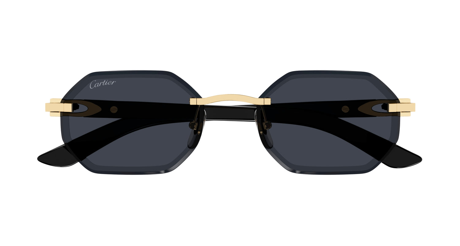 Lunettes de Soleil Cartier - CT0439S