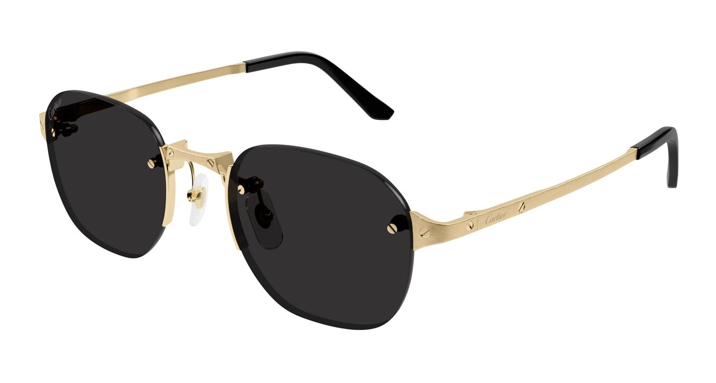 Lunettes de Soleil Cartier - CT0459S