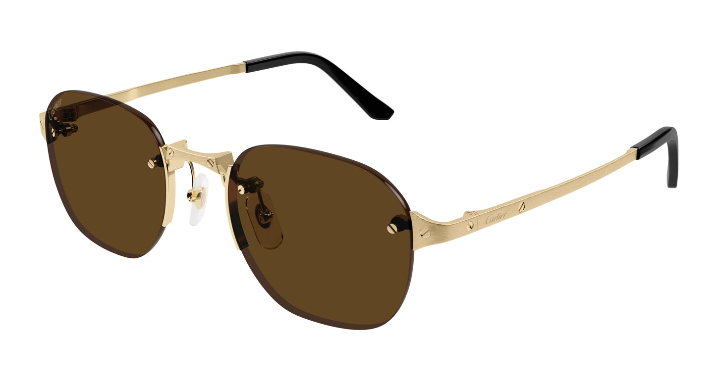 Lunettes de Soleil Cartier - CT0459S