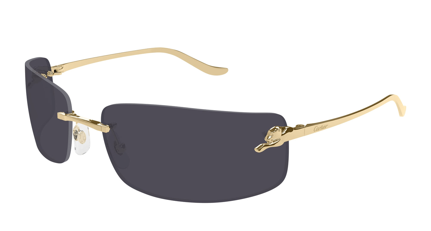 Lunettes de Soleil Cartier - CT0503S