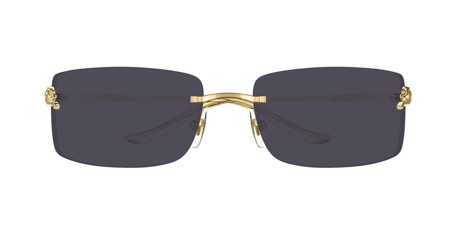 Lunettes de Soleil Cartier - CT0503S