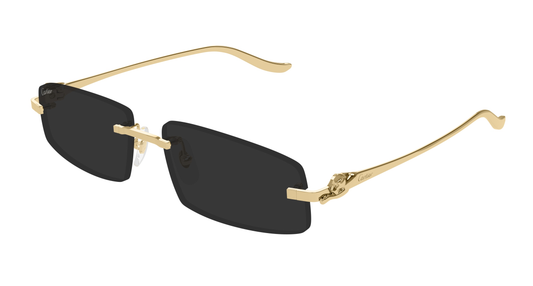 Lunette de Soleil Cartier - CT0505S