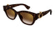 Marron Havana