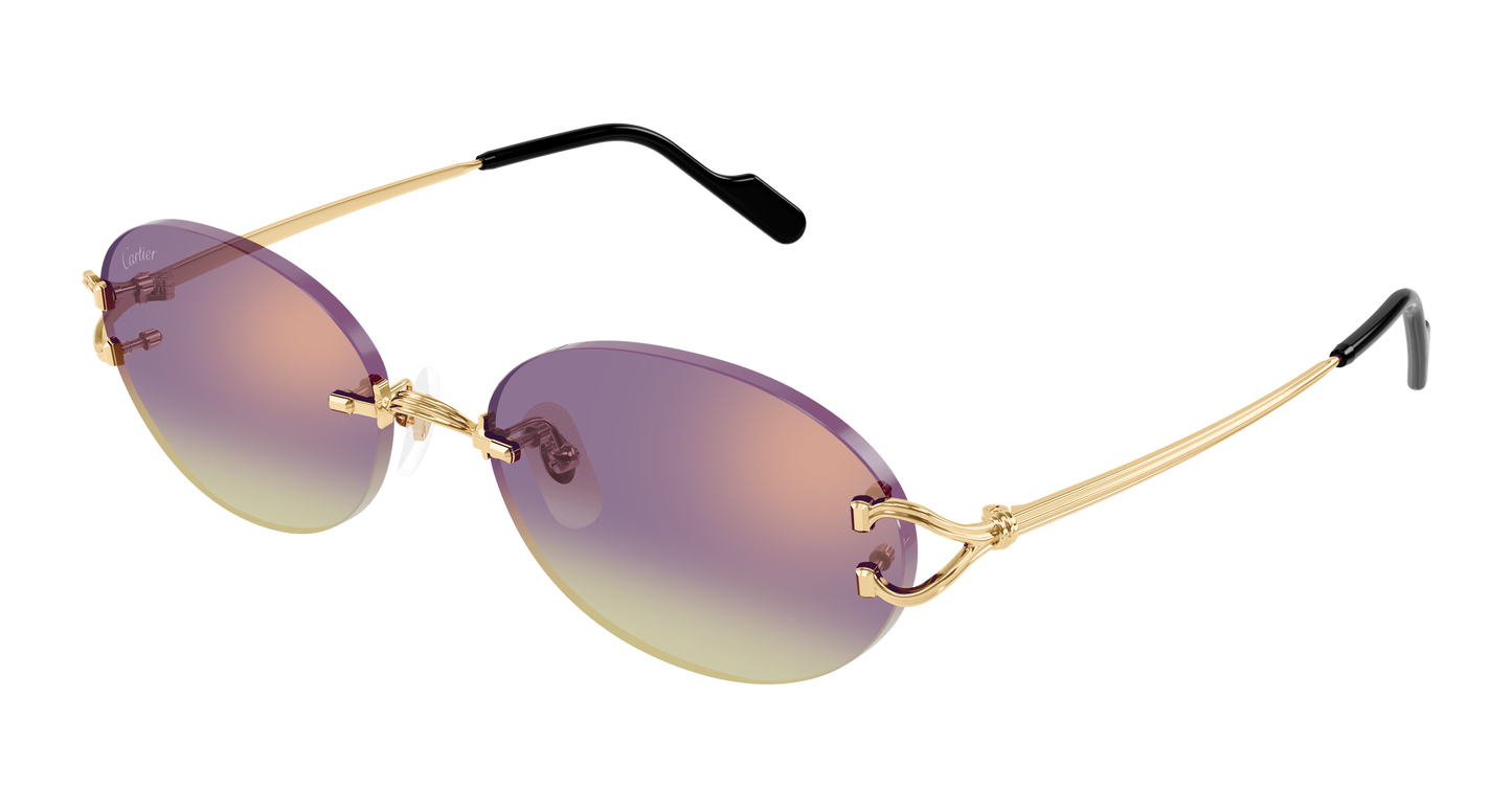 Lunettes de Soleil Cartier - CT0551S