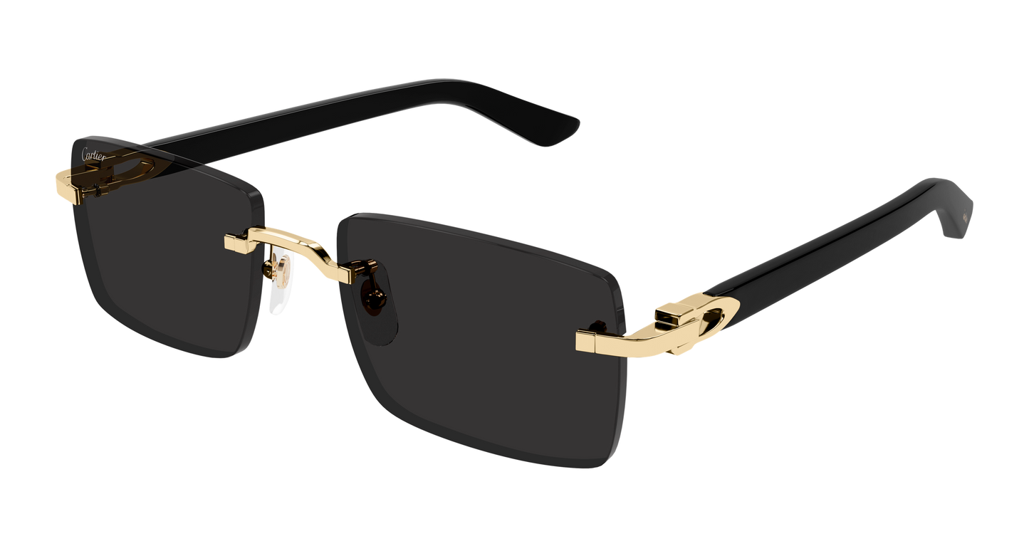 Lunettes de Soleil Cartier - CT0579S
