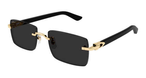 Lunettes de Soleil Cartier - CT0579S
