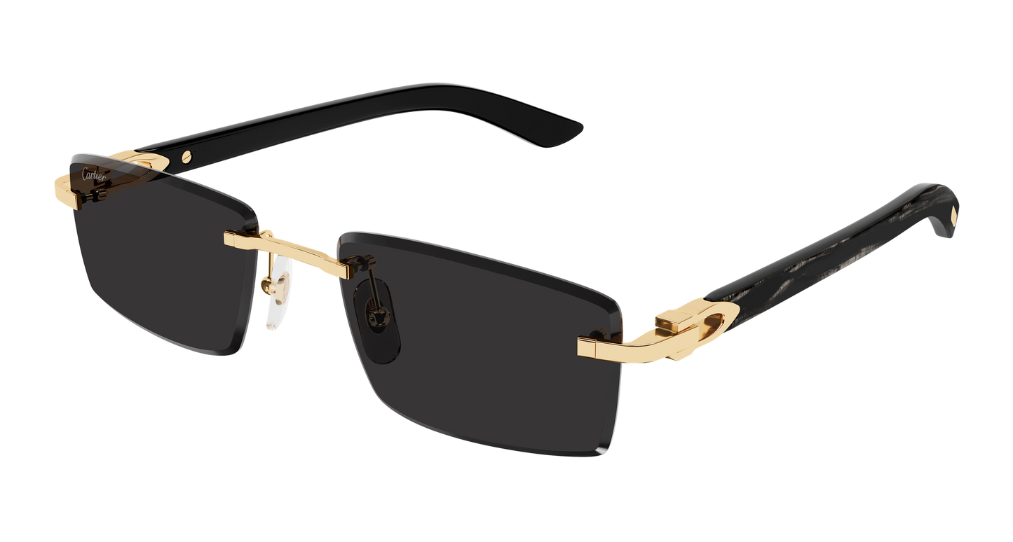 Lunettes de Soleil Cartier - CT0582S