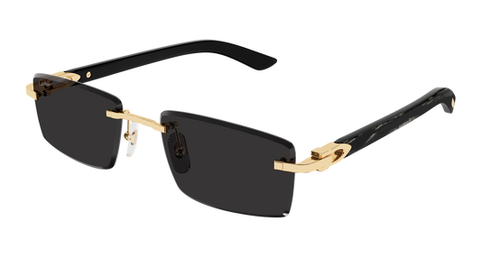 Lunettes de Soleil Cartier - CT0582S
