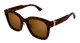 Marron Havana