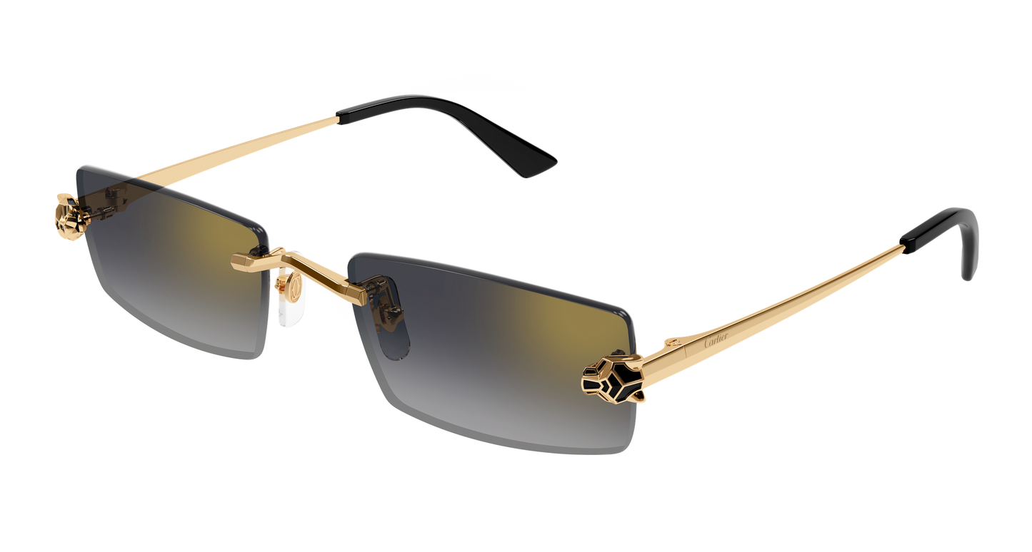 Lunettes de Soleil Cartier - CT0598S