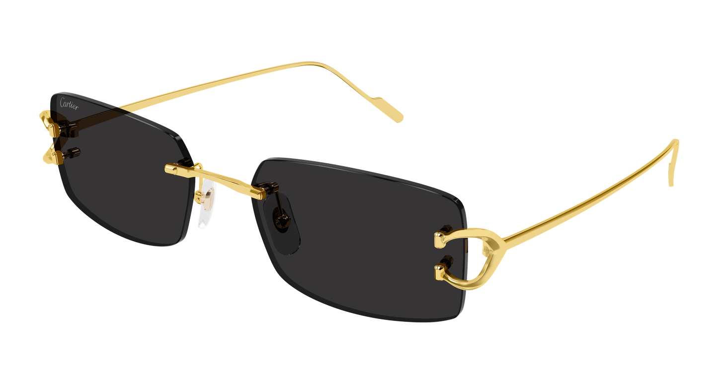 Lunettes de Soleil Cartier - CT0605S
