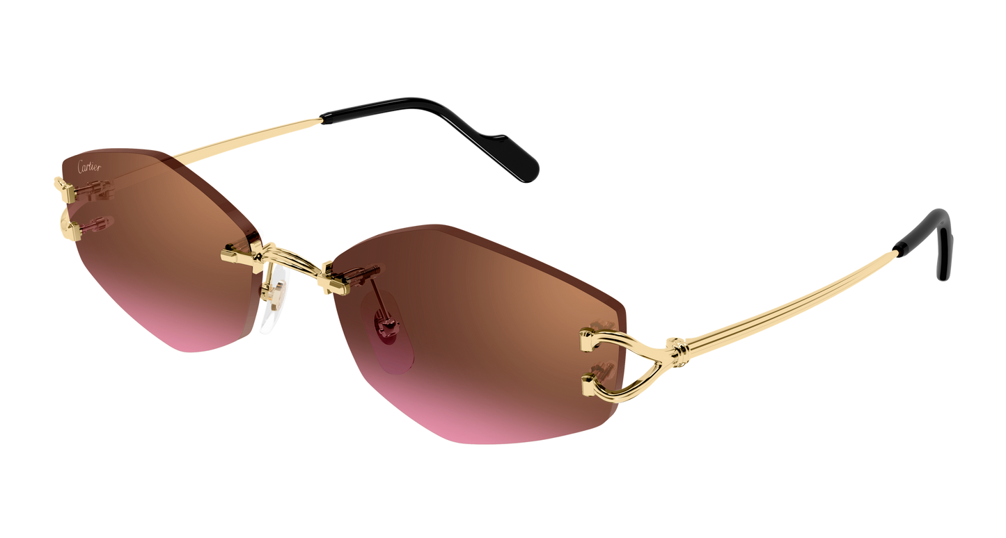 Lunettes de Soleil Cartier - CT0620S