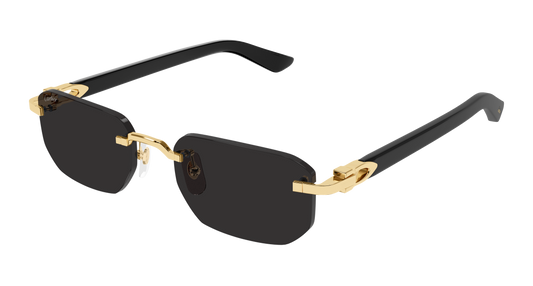 Lunettes de Soleil Cartier - CT0622S