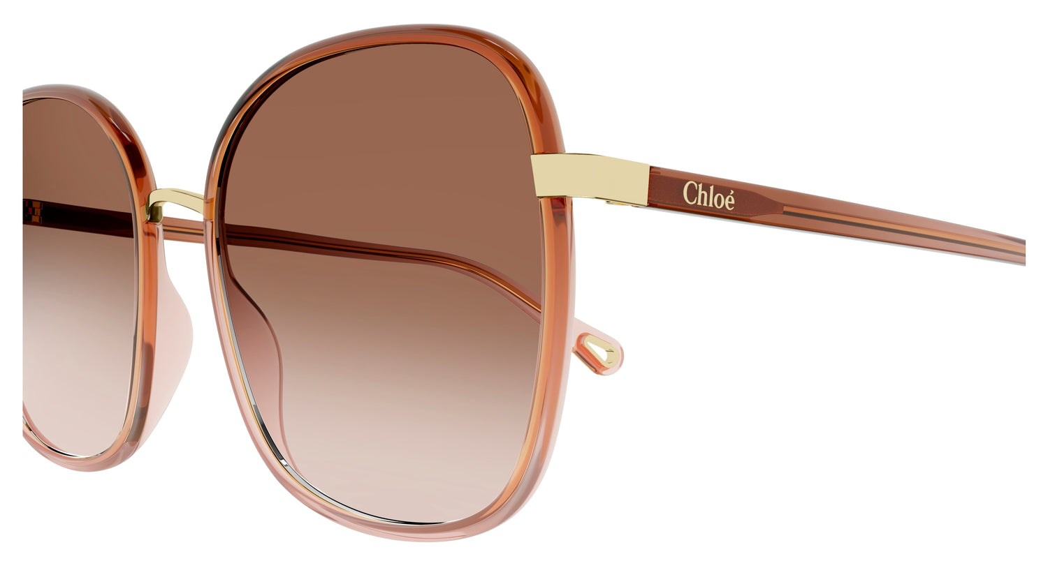 Lunettes de Soleil Chloé - CH0031S
