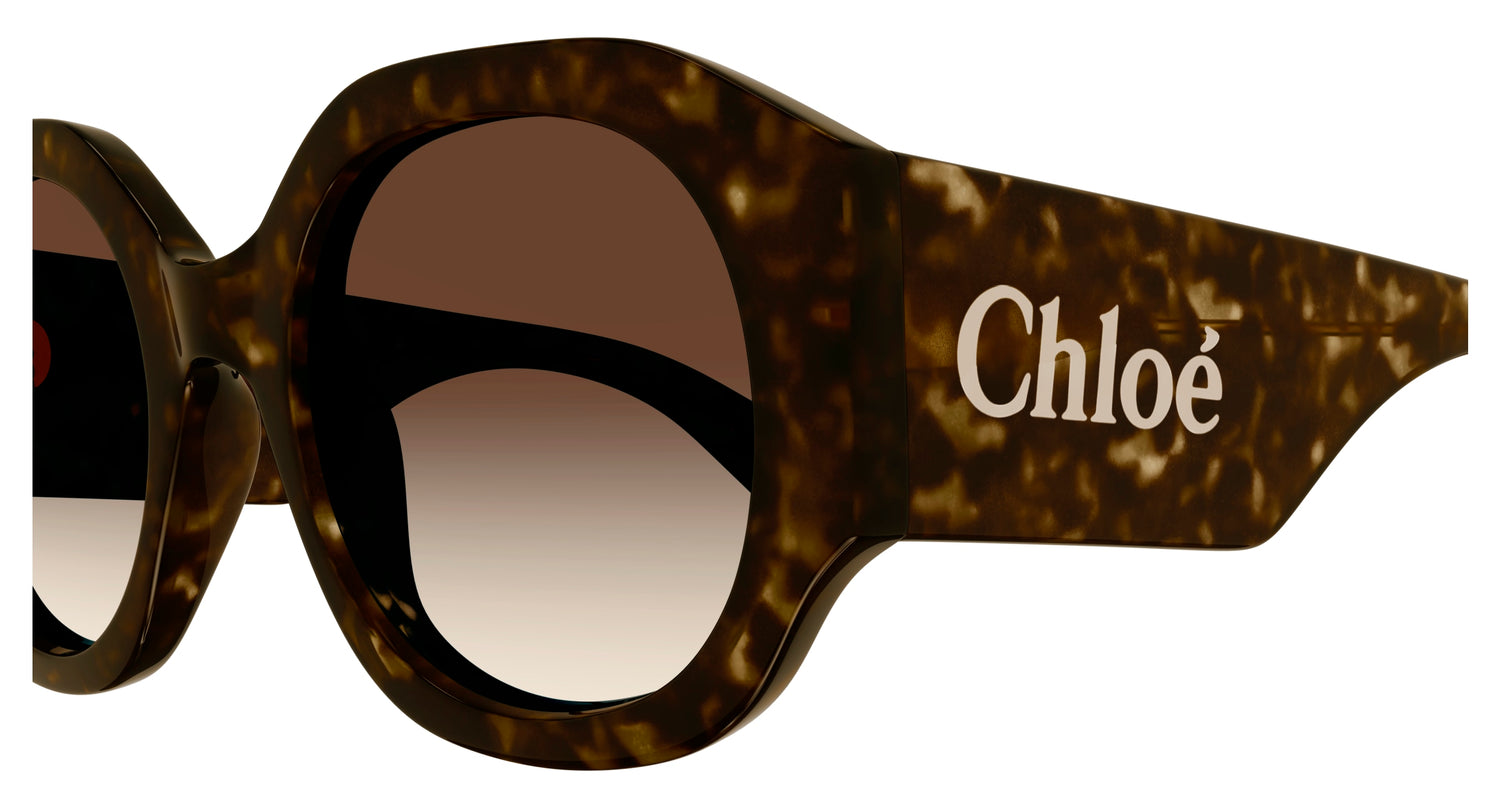 Lunettes de Soleil Chloé - CH0234S