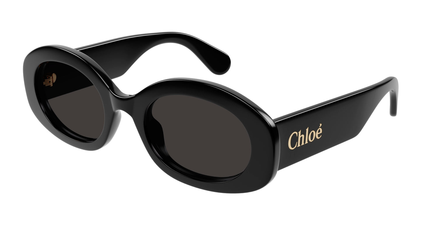 Lunettes de Soleil Chloé - CH0258S