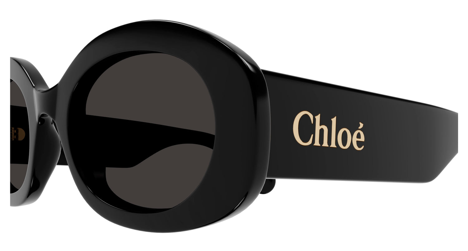 Lunettes de Soleil Chloé - CH0258S