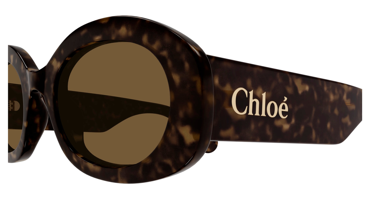 Lunettes de Soleil Chloé - CH0258S