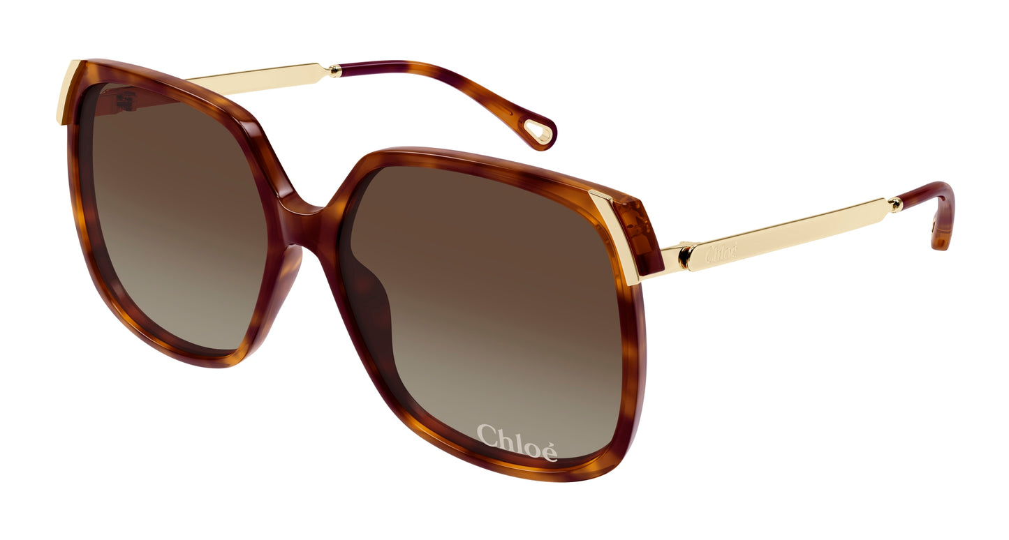 Lunettes de Soleil Chloé - CH0286S